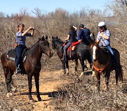 16473662_1210215759070184_7983197180350510419_n